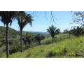85 acres (35ha) dream slope with perfect Pacific view