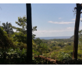 27 acres (11ha) near Playa Corozalito