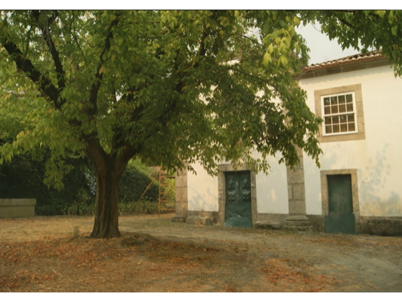 quinta 3