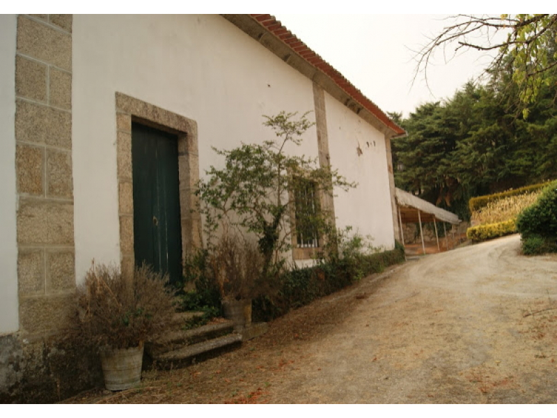 quinta 4