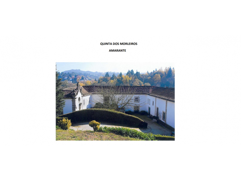quinta amarante 1