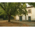 quinta 3