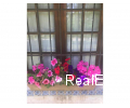 279_caba6