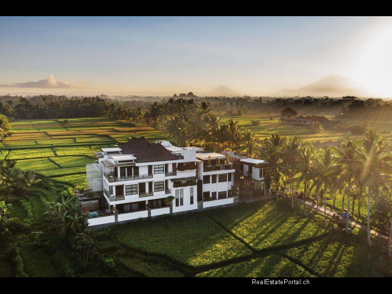 Ubud hotel for sale (1)