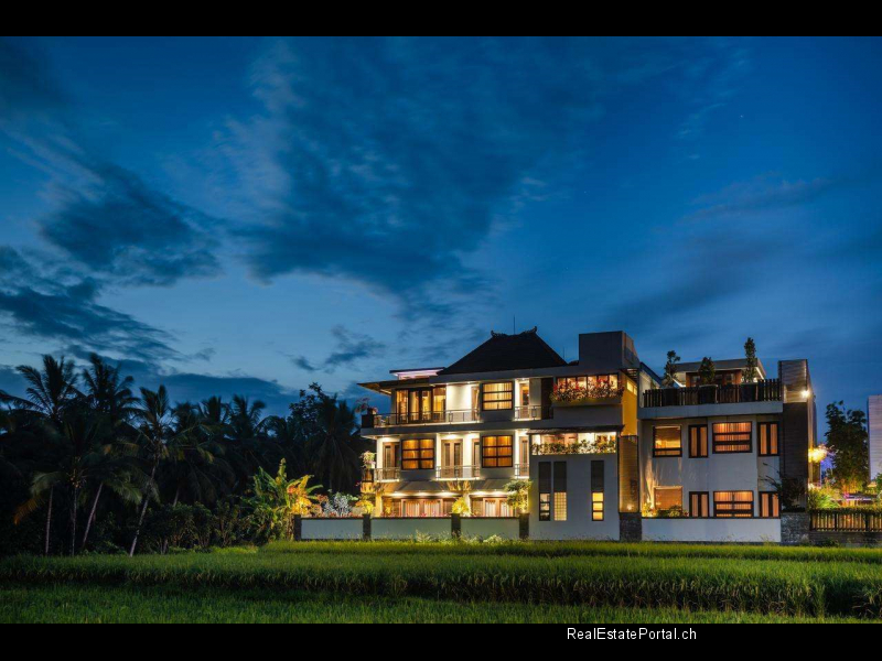Ubud hotel for sale (3)