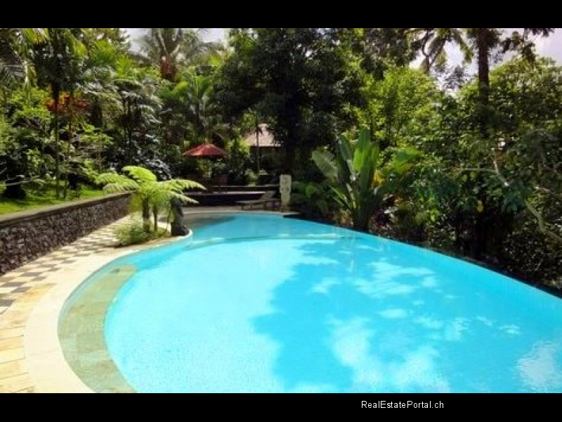 tabanan real estate for sale (5)