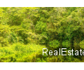 Brasilien riesengrosses 11'250 Ha Grundstück mit Rohstoffen - bei Rio Preto do Eva - AM