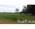 Brasilien grosse 65 Ha Farm Region - Rorainopolis Roraima